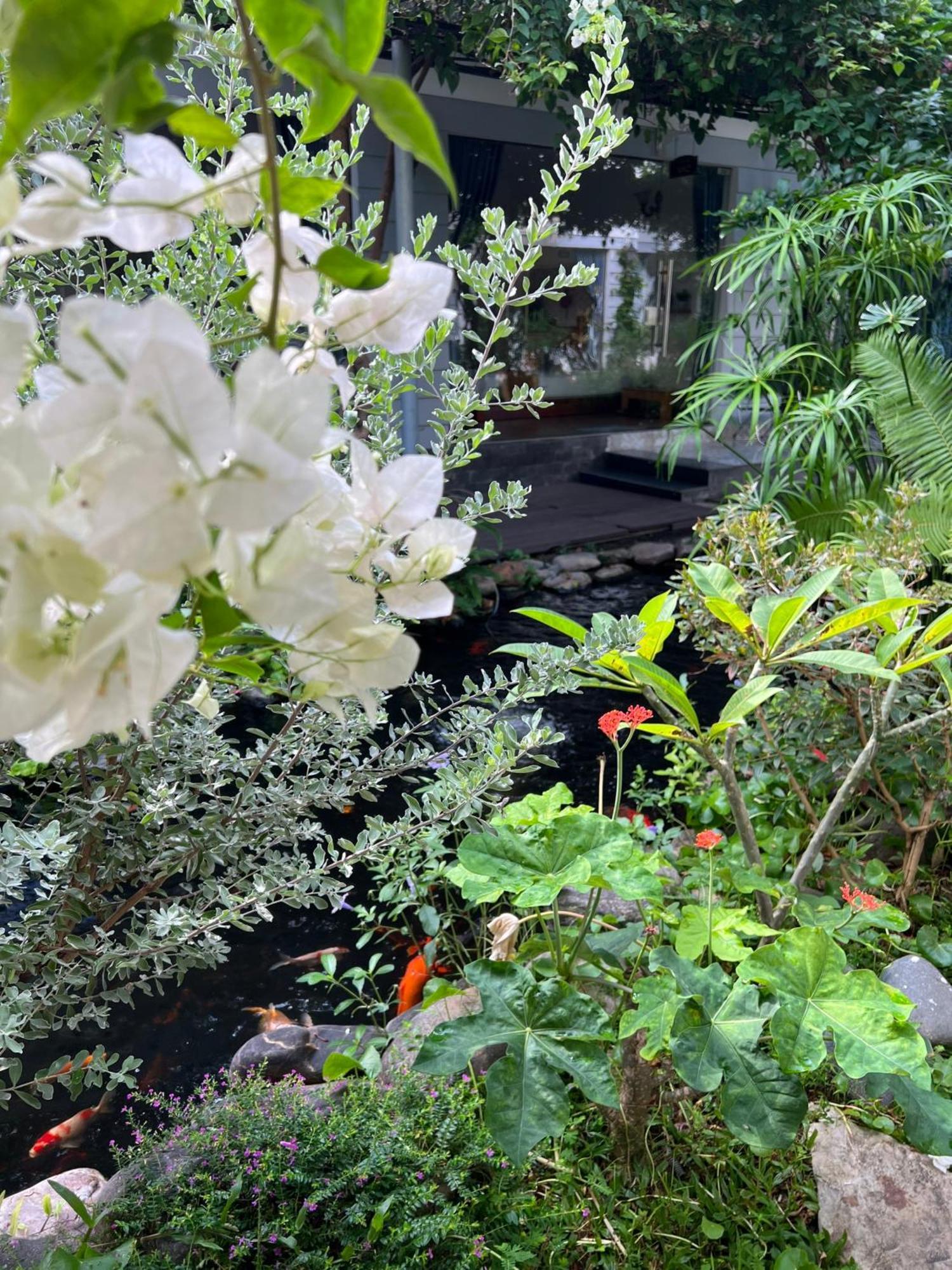 Window Homestay Kon Tum Екстер'єр фото